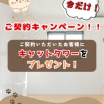 【蓮田市ハルモニアⅠ・Ⅱ・Ⅲ】 画像9