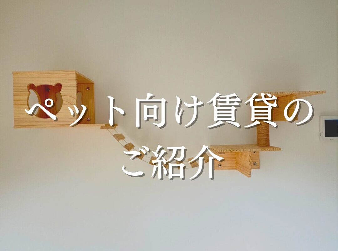 ペットと暮らせる新築物件のご紹介🐈